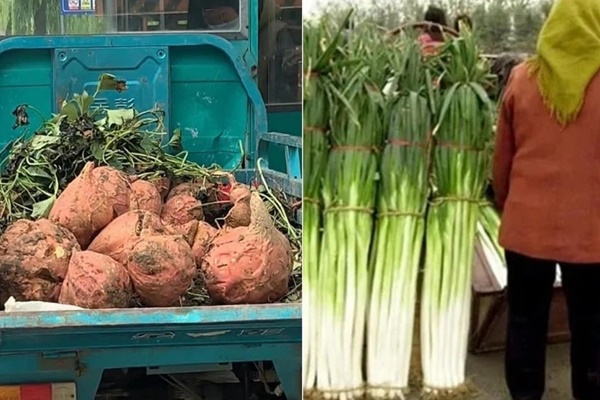 Thành phố giàu có mới của Trung Quốc-5