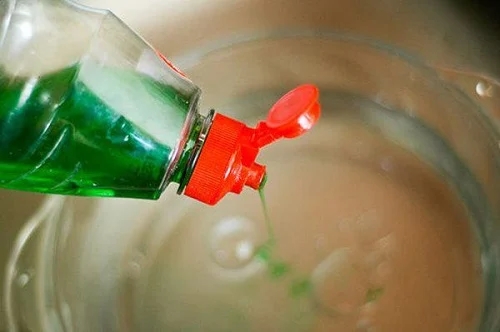 Nên dùng trực tiếp hay pha loãng nước rửa bát? Câu trả lời khiến nhiều người giật mình-1