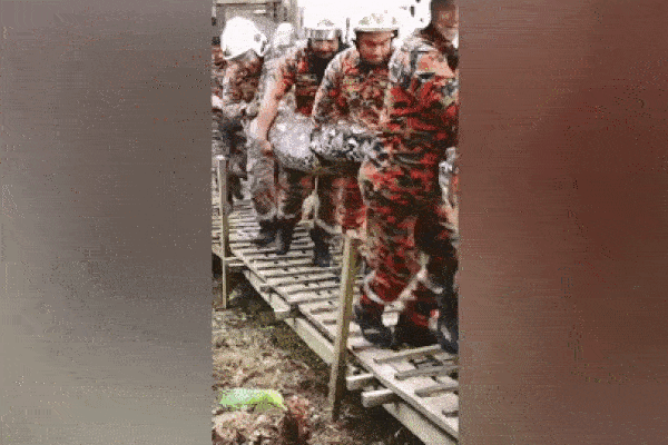 Phát hiện thi thể người trong bụng trăn ở Indonesia-3