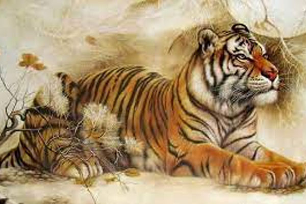 Phụ nữ có tiền có đặc điểm gì?-3