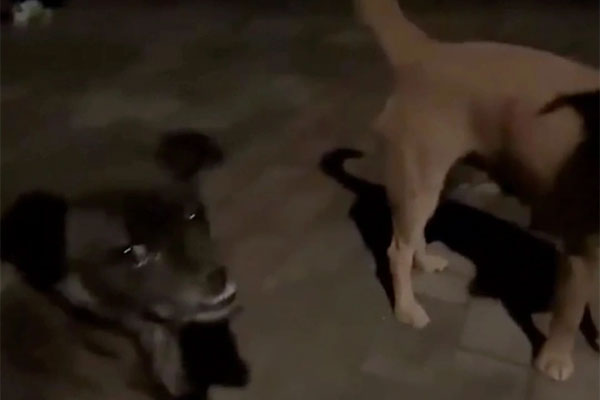 Những người giàu ở Trung Quốc cũng nằm im-6