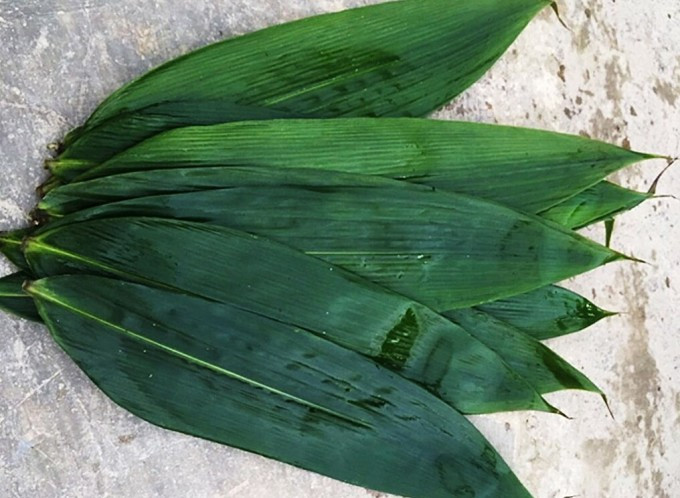 Bất ngờ 3 loại lá xưa vứt đi nay giúp người dân hốt bạc-10