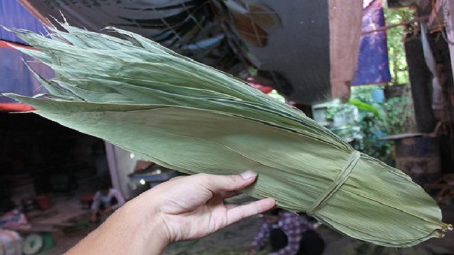 Bất ngờ 3 loại lá xưa vứt đi nay giúp người dân hốt bạc-12