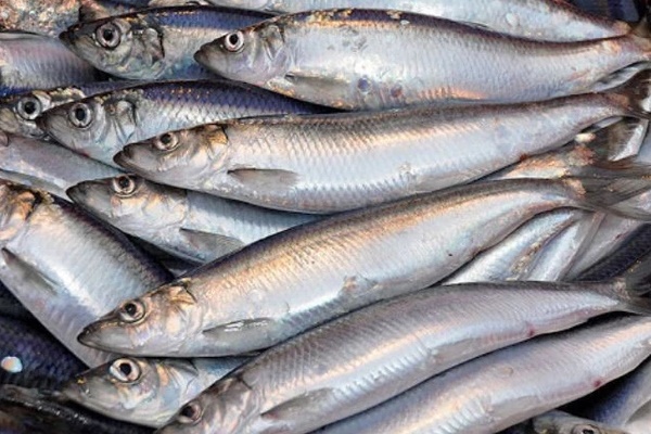 5 thực phẩm phụ nữ nên dùng để cấp ẩm, chống khô và làm cho da mịn màng vào mùa đông khô hanh-3