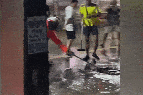 Kinh hãi cảnh rắn hổ mang 'ẩn mình' giữa đường phố