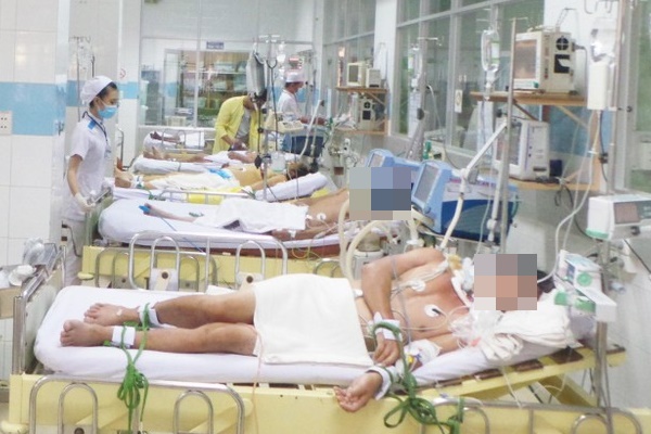 TPHCM: 29 người chết vì sốt xuất huyết, 113 ổ dịch trong cộng đồng-1