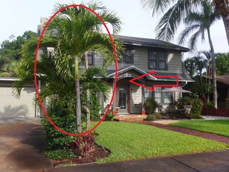 Trước nhà trồng 6 loại cây này tài lộc về như thác lũ, gia chủ nghèo khó cũng hóa giàu sang-1