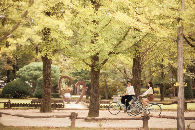 Bình An - Phương Nga tung ảnh cưới đẹp như mơ tại Hàn Quốc-4