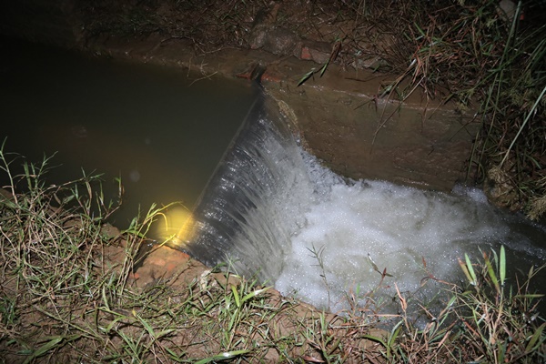 Lội ruộng, dầm mưa săn đặc sản, có đêm thu tiền triệu-4