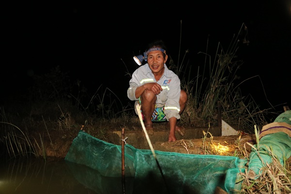 Lội ruộng, dầm mưa săn đặc sản, có đêm thu tiền triệu-7