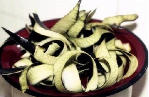 Đừng ném bỏ cuống cà tím, khi đốt lên có công dụng cực mạnh-5