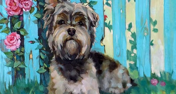 3 con giáp hoan hỉ nhất tháng 10 âm: Được cát tinh chiếu rọi, nhìn đâu cũng ra tiền-2