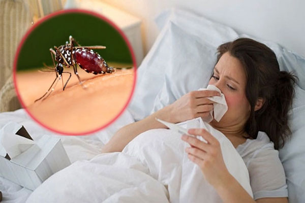 Dịch sốt xuất huyết lớn có nguy cơ xảy ra vào cuối năm 2022: Cảnh báo những đối tượng mắc sốt xuất huyết dễ bị trở nặng-2