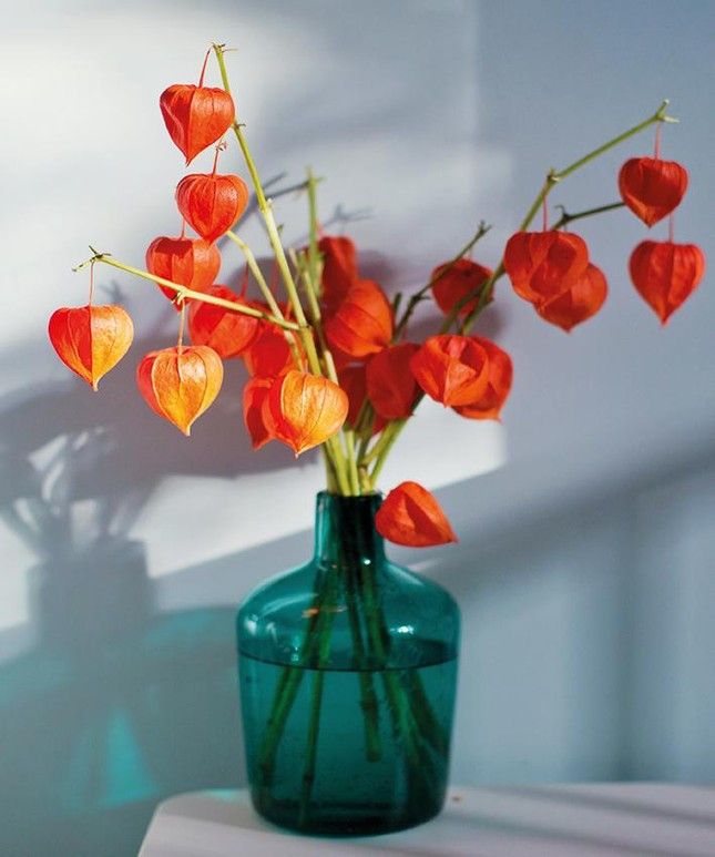 Chị em mê mẩn tìm mua chiếc lá giống như mùa thu Hàn Quốc-3