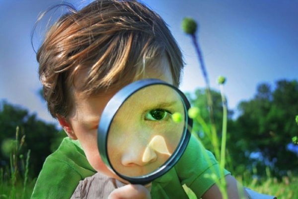 Nghiên cứu của ĐH Harvard: Cha mẹ chỉ cần vài phút mỗi ngày để nuôi dạy con thông minh-2