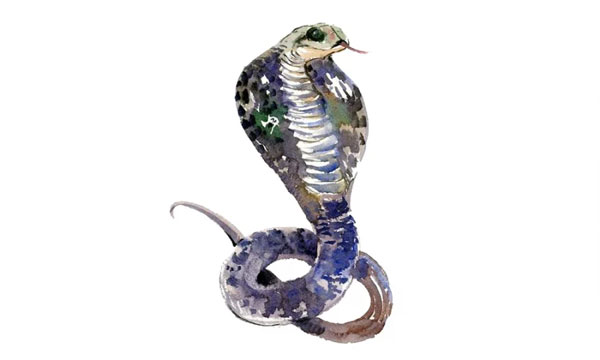 Tuần mới (24-30/10): 2 tuổi tình tiền đều vượng, 1 tuổi nhiều nguy cơ rình rập-3