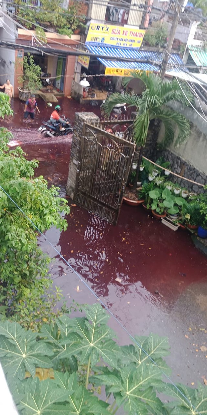 Rùng mình với con đường ở TP HCM chìm trong dòng nước đỏ-4