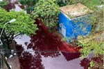 Sở Tài nguyên và Môi trường thông tin vụ nước ngập khu dân cư ở TP.HCM có màu đỏ-3