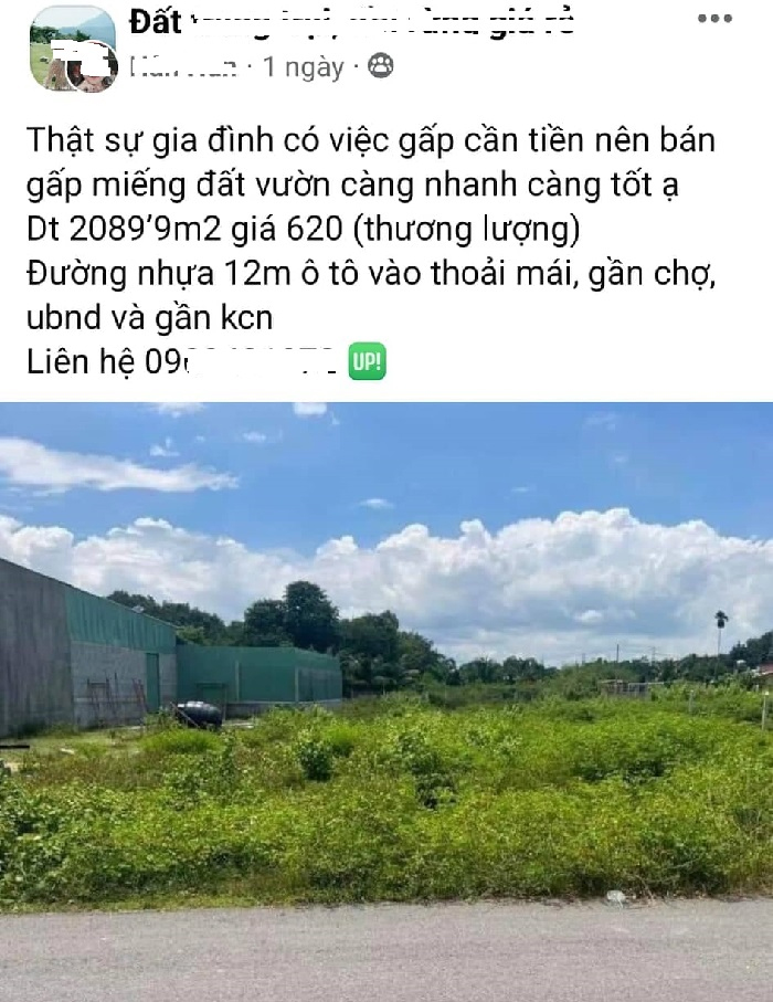 Xuất hiện loạt bất động sản hạ giá, bán gấp: Chuyên gia chỉ rõ điều này-2
