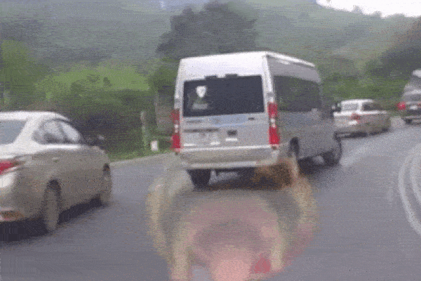 Tài xế mắc lỗi sơ đẳng khiến ô tô trôi thẳng xuống hồ nước-1