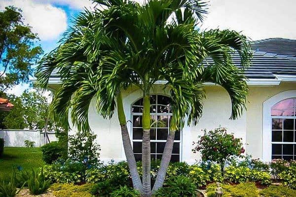 Trước cửa nhà có 4 thứ nên đặt, 2 thứ nên tránh để hút lộc vào nhà-4