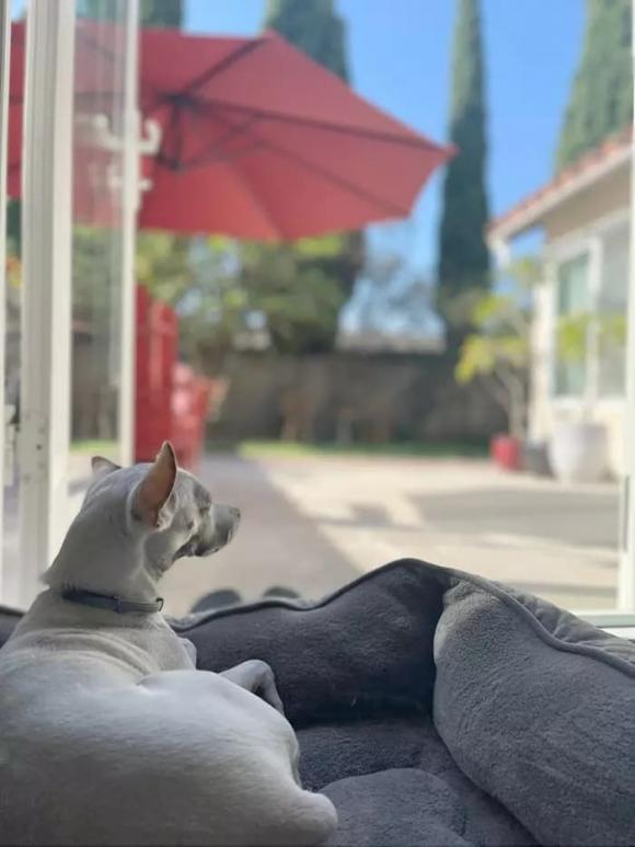 Kim Hiền tậu nhà mới, không gian lí tưởng và trang trí trang nhã-10