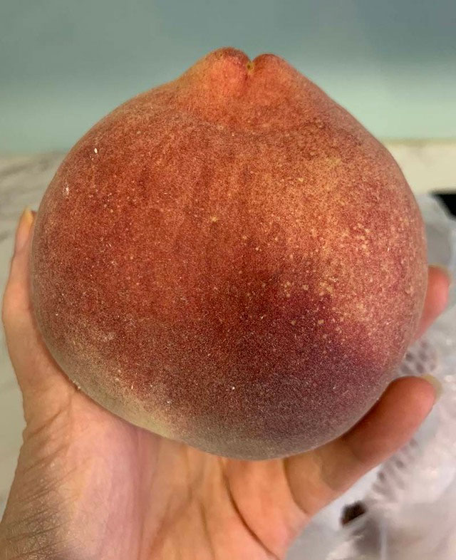 Loại trái cây quả nặng tới nửa kg một quả đắt như tôm tươi” dù giá chát-2