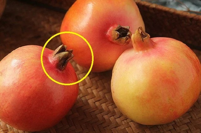 Mua lựu đừng chăm chăm chọn quả vỏ đỏ, chỉ bạn 5 điểm để biết quả nào tươi ngọt, mọng nước-2