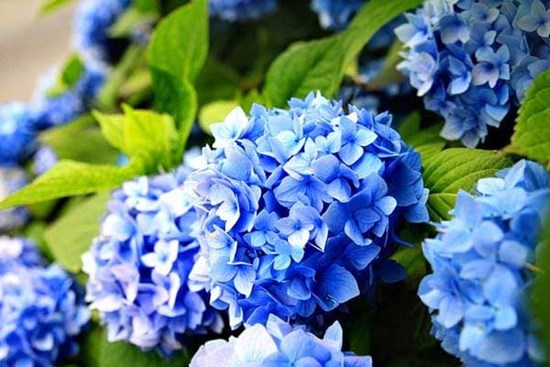 Tháng 10 Âm lịch sang, 3 con giáp nhận lộc trời ban, tiền bạc đổ về túi không ngừng