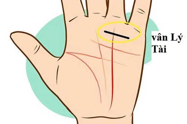 Lòng bàn tay có 4 dấu hiệu này, cả đời phú quý, tiền tiêu không hết-2