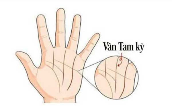 Lòng bàn tay có 4 dấu hiệu này, cả đời phú quý, tiền tiêu không hết-3