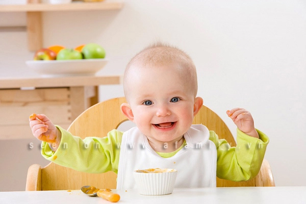 Phương pháp cho trẻ ăn dặm truyền thống kết hợp BLW để bé luôn vui vẻ, phát triển toàn diện-3