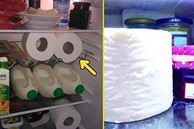 Đặt cuộn giấy vệ sinh vào tủ lạnh điều kỳ diệu sẽ xảy ra: Công dụng quý cần thiết của nhiều gia đình