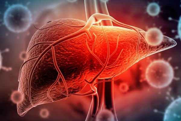 Gan có thể tự tái sinh khi bị tổn thương hay không?-1