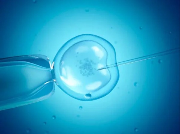 Cô gái 23 tuổi tử vong đột ngột khi lấy trứng thụ tinh ống nghiệm-1