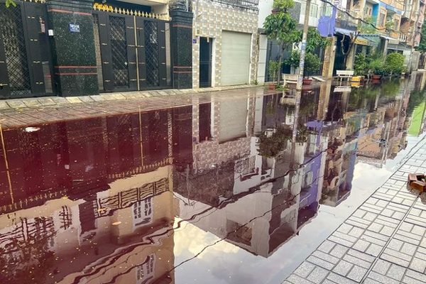 Cá chết nổi trắng hồ điều hòa lớn nhất thành phố Hà Tĩnh-7