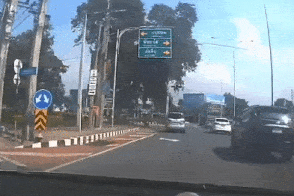 Ô tô đang chạy bị cây xanh đổ đè trúng