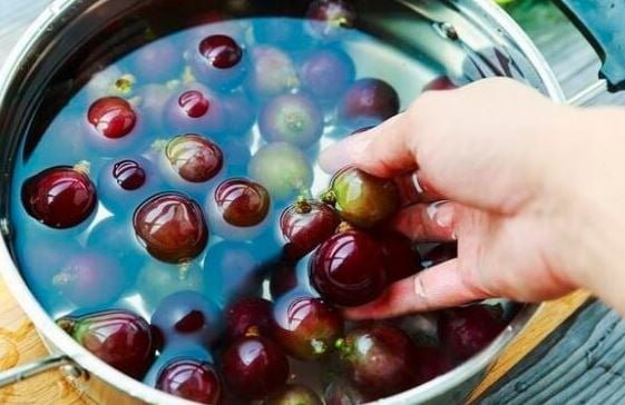 Rửa nho đừng chỉ dùng nước lã: Thêm thứ này mới hết bụi bẩn, côn trùng, yên tâm ăn cả vỏ-5