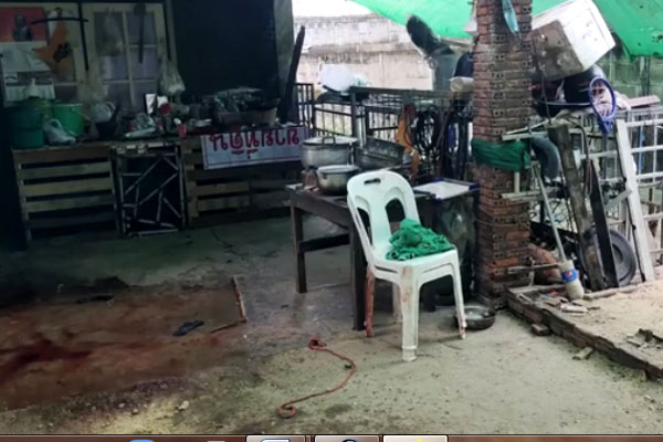 Bị đàn thú cưng dữ dằn của con trai tấn công, người cha già tử vong thương tâm-1