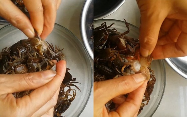 Mai cua đồng ăn rồi hãy giữ lấy, xay thành bột rắc vào đất, hoa nở tung thành thảm-1