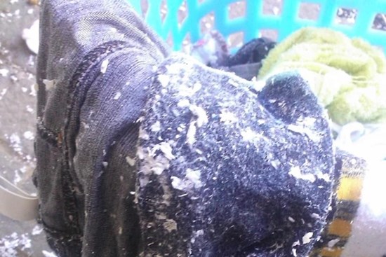 Quần áo bị dính vụn giấy ăn, làm theo cách này chỉ 5 phút là sạch bong