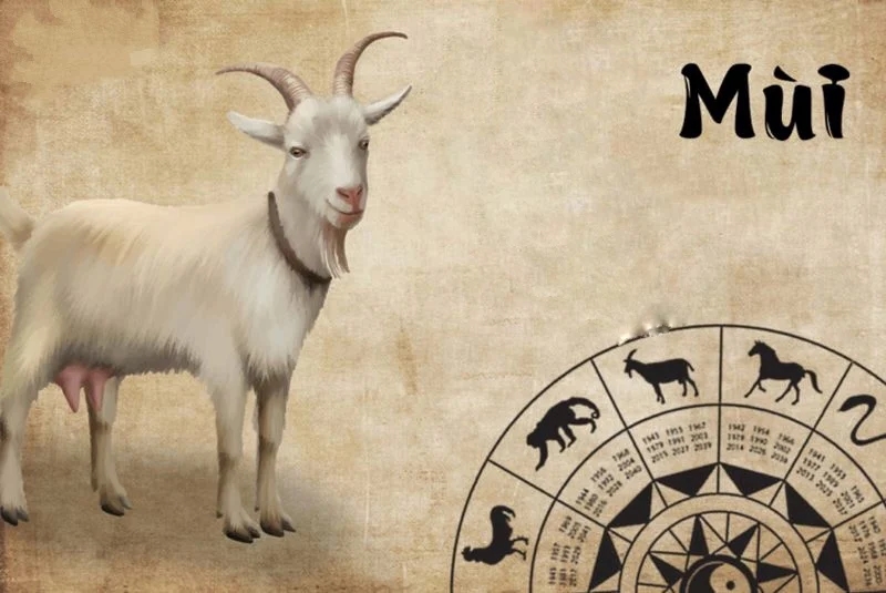 Chuông vàng đã điểm: 3 tuổi có phúc có phần, đi đến đâu cũng được che chở, sau tuổi 35 lộc lá đề huề-1