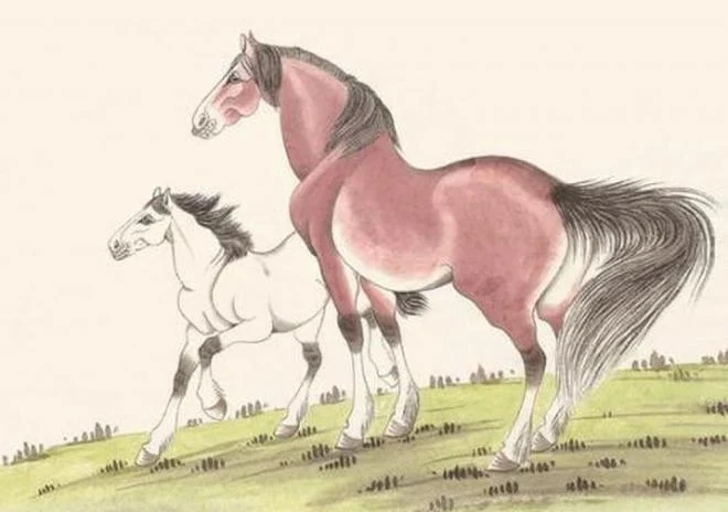 Chuông vàng đã điểm: 3 tuổi có phúc có phần, đi đến đâu cũng được che chở, sau tuổi 35 lộc lá đề huề-2