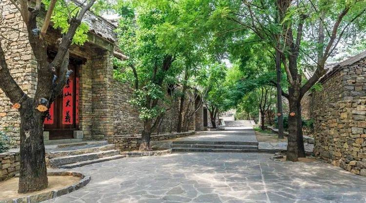 Người xưa quan niệm: Trồng ít cây trước cửa, sau nhà đừng mở cửa sổ, điều này có nghĩa là gì?-1