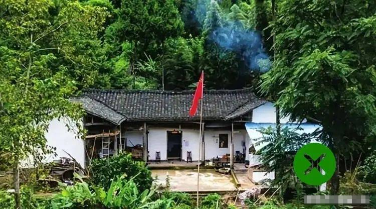 Người xưa quan niệm:&nbsp;Trồng ít cây trước cửa, sau nhà đừng mở cửa sổ, điều này có nghĩa là gì?-2