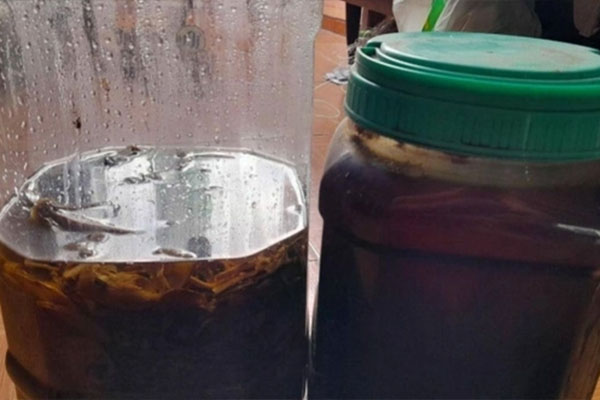 3 cốc nước cứu mạng trong ngày ai cũng nên biết để uống cho đủ-5