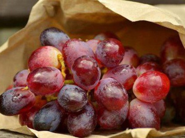 8 siêu thực phẩm” cho một lá gan khỏe mạnh-3