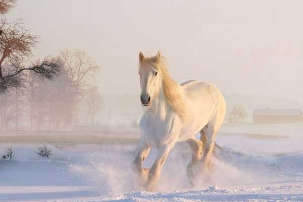 Người sinh ngày Âm lịch này, 3 năm tới có thành tựu sự nghiệp nổi bật, tiền bạc đầy túi-4