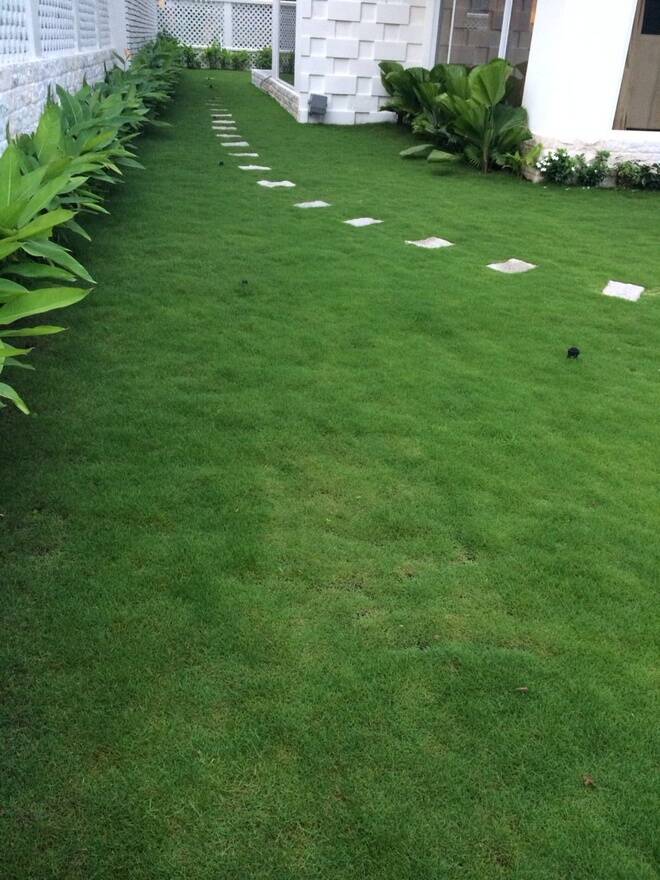 Choáng ngợp bạch dinh triệu đô trong khu nhà giàu của Thủy Tiên - Công Vinh, nội thất ngốn 7-8 tỷ đồng-4