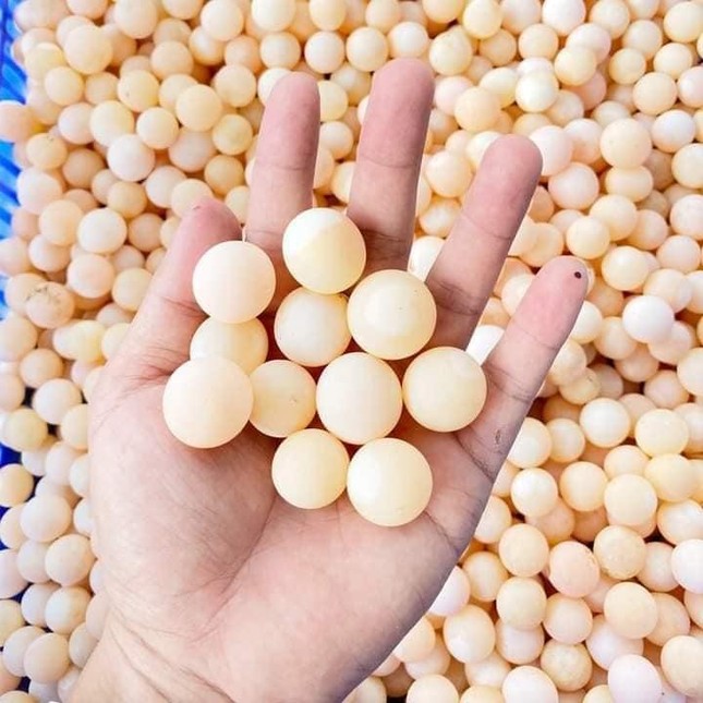 Loại trứng đẹp như ngọc, tưởng không ăn được mà cháy hàng quanh năm-3